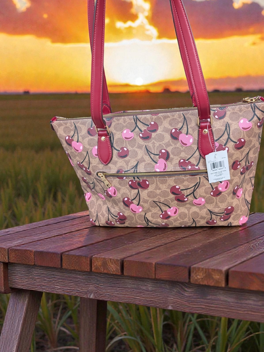 Coach Gallery Tote in Signature Canvas with Cherry Print (NWT) - Picture 4 of 9
